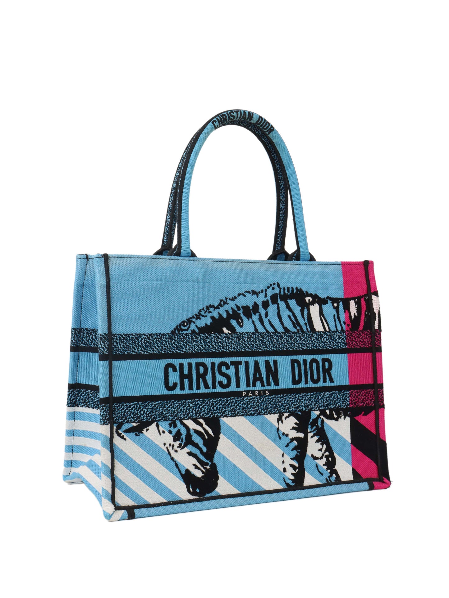 Dior Small Book Tote Blue.