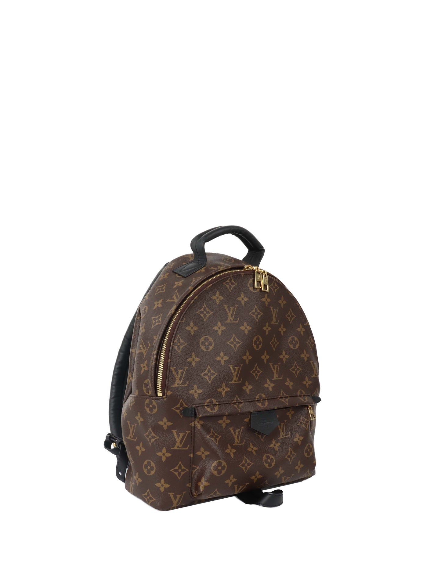 Louis Vuitton Palm Spring MM Backpack