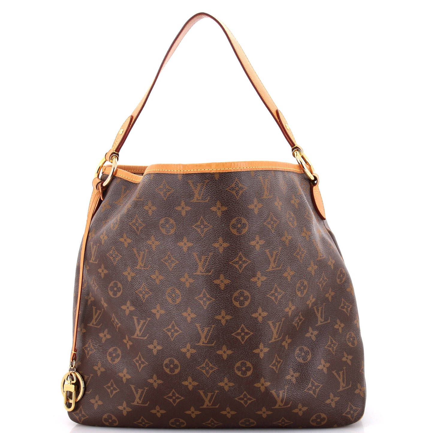 Louis Vuitton Delightful NM Handbag Monogram Canvas MM