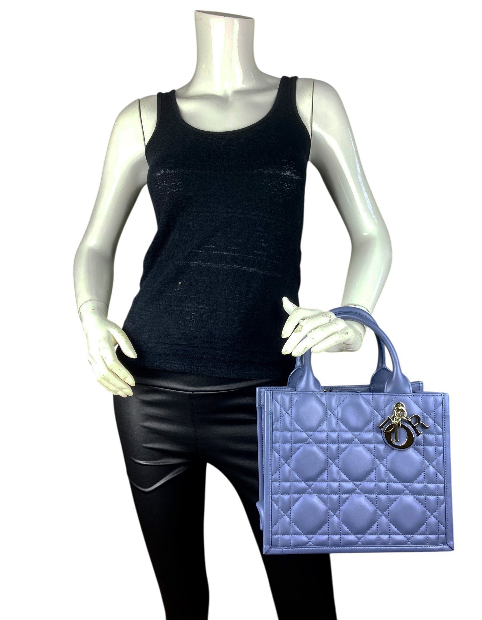 Dior Denim Blue Small Dior Book Tote