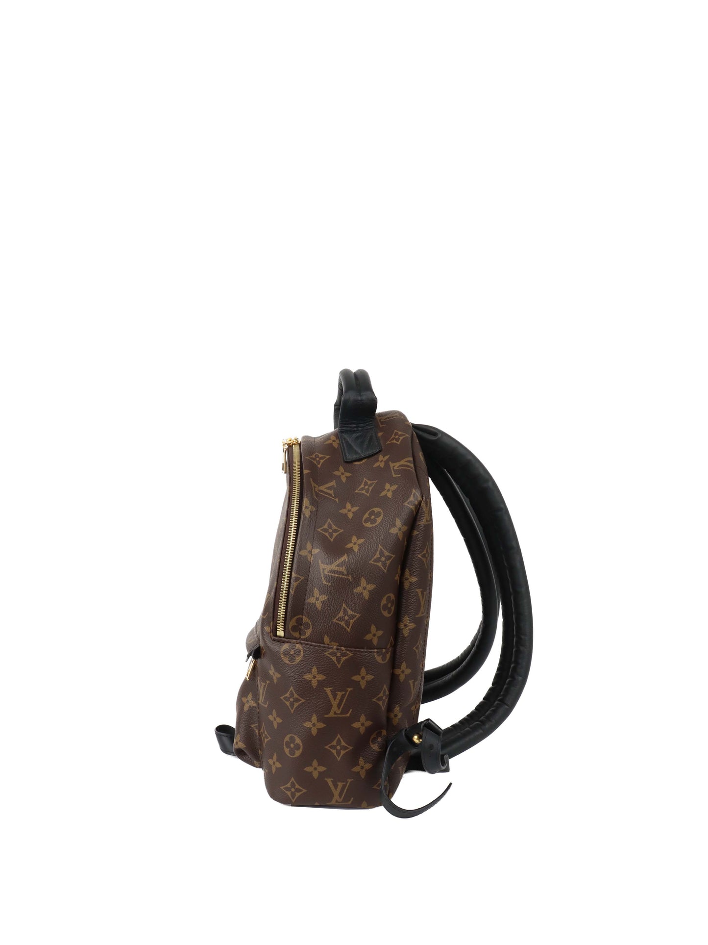 Louis Vuitton Palm Spring MM Backpack
