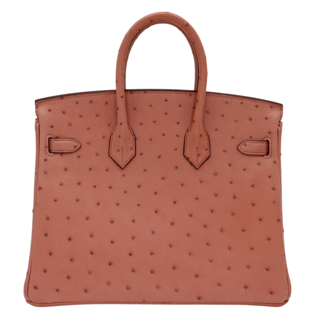 Hermes25cm Birkin Terre Cuite Ostrich Gold Hardware
