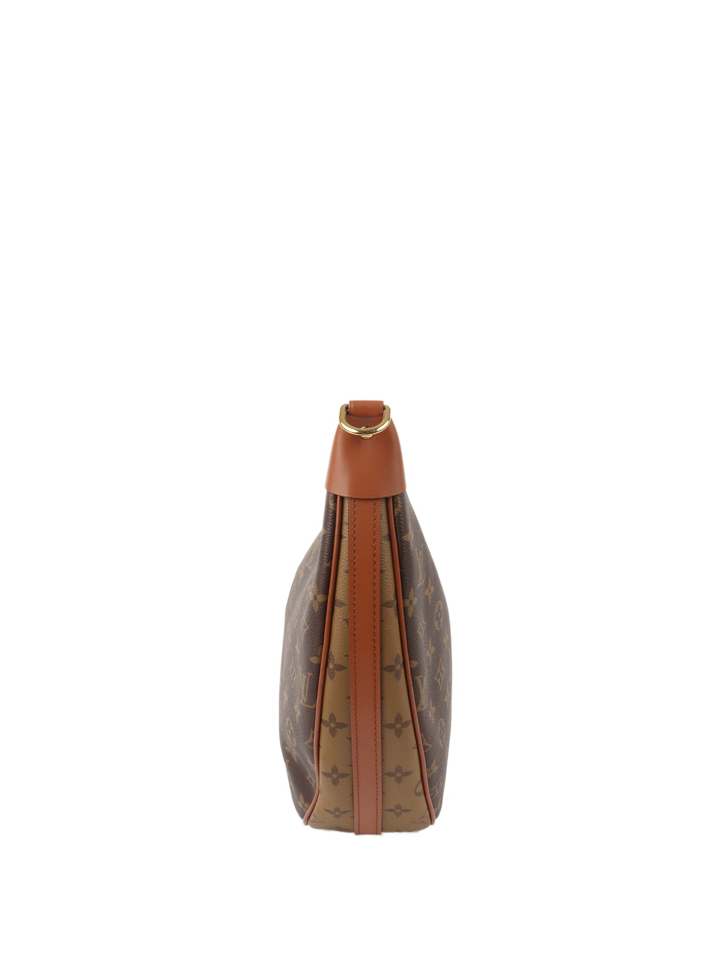 Louis Vuitton Monogram Loop Hobo Bag