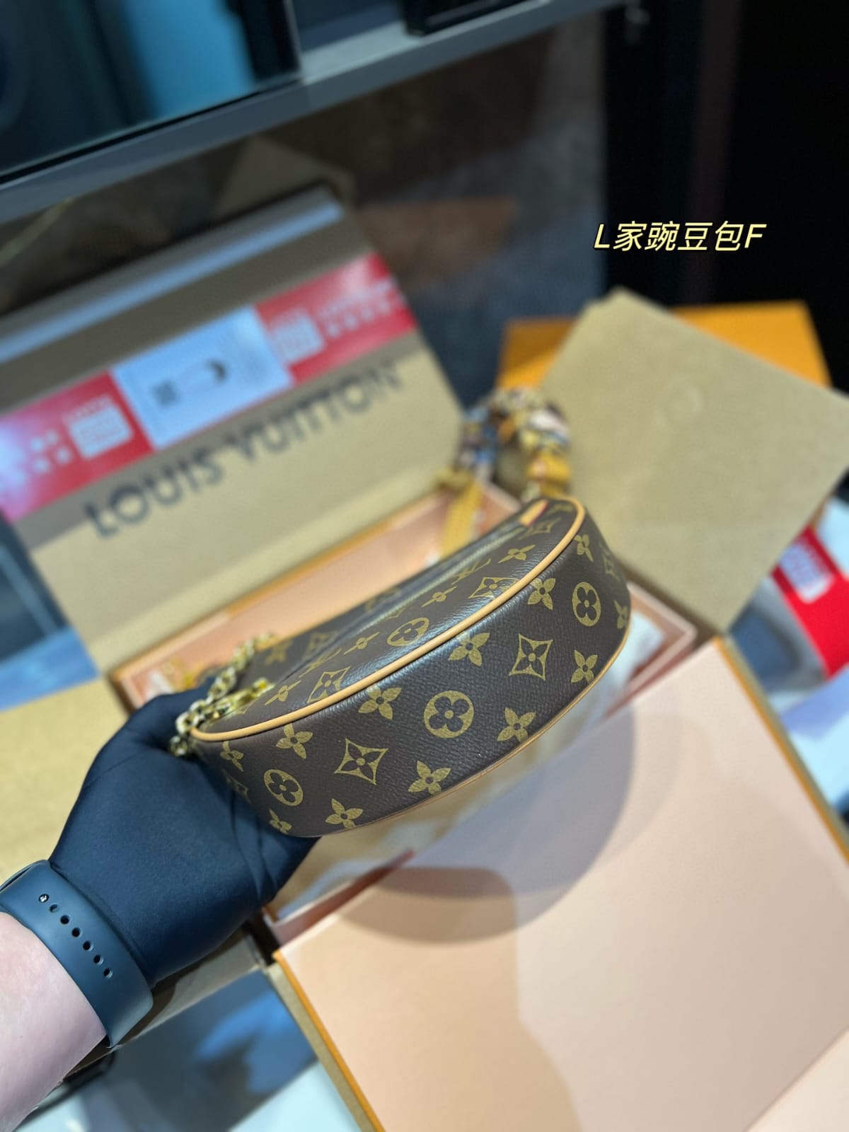 Louis Vuitton Loop monogram Handbag Twilly Scarf