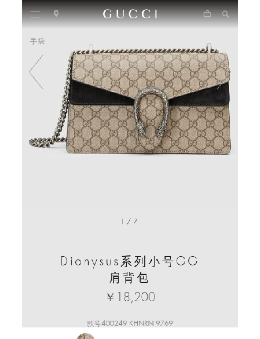 Gucci Crossbody Style 12