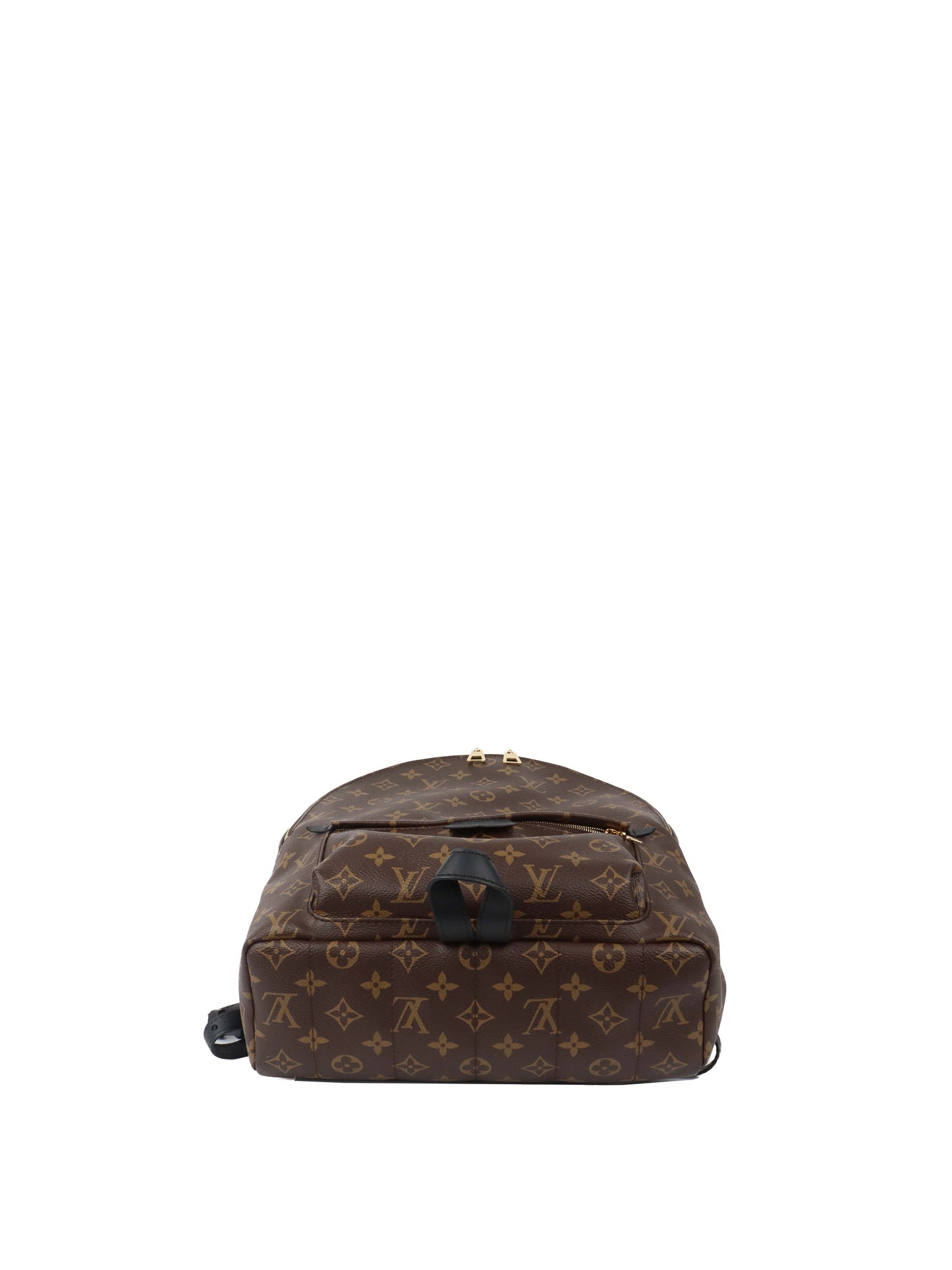 Louis Vuitton Palm Spring MM Backpack