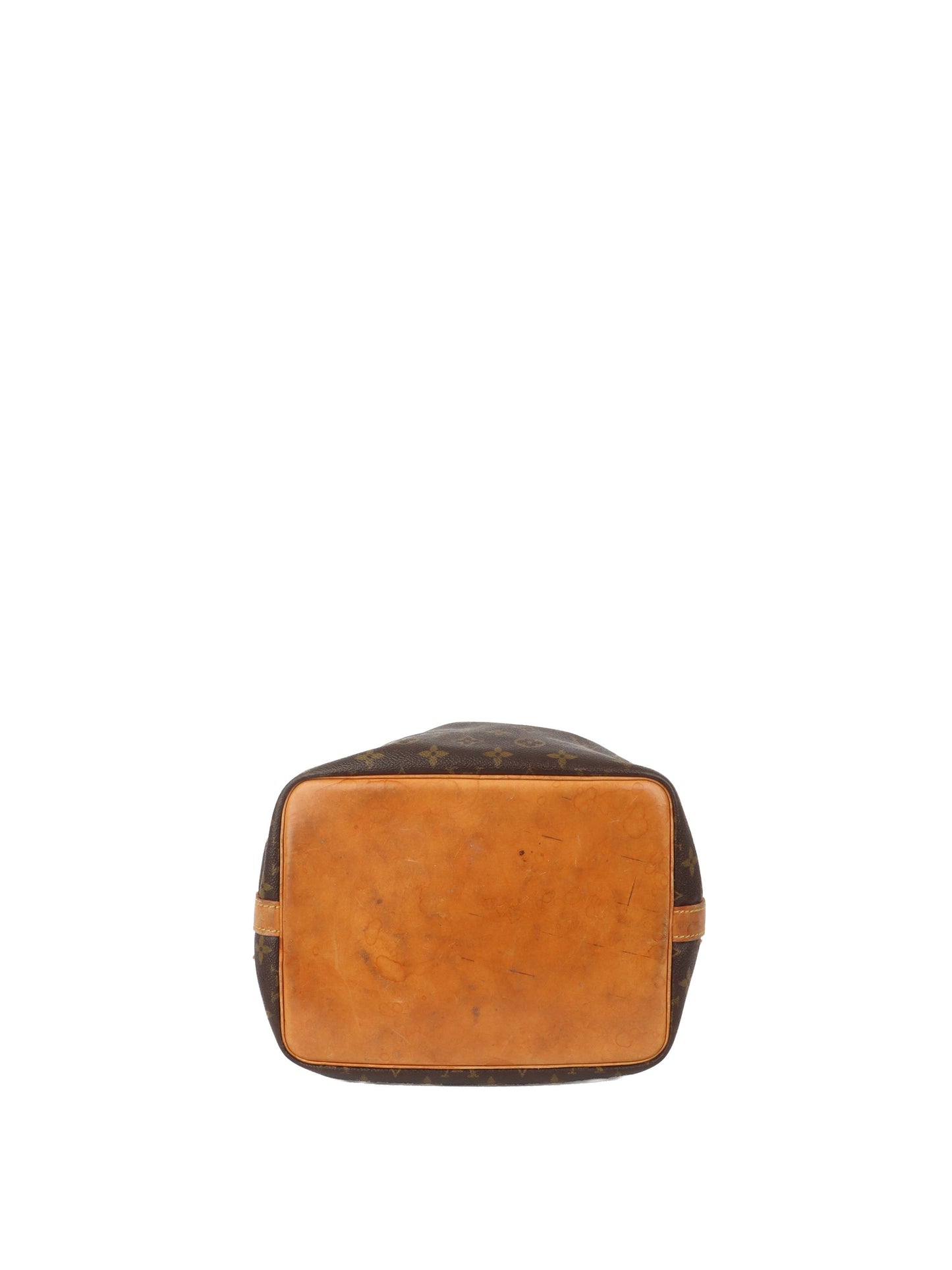 Louis Vuitton Monogram Neo Bucket Bag
