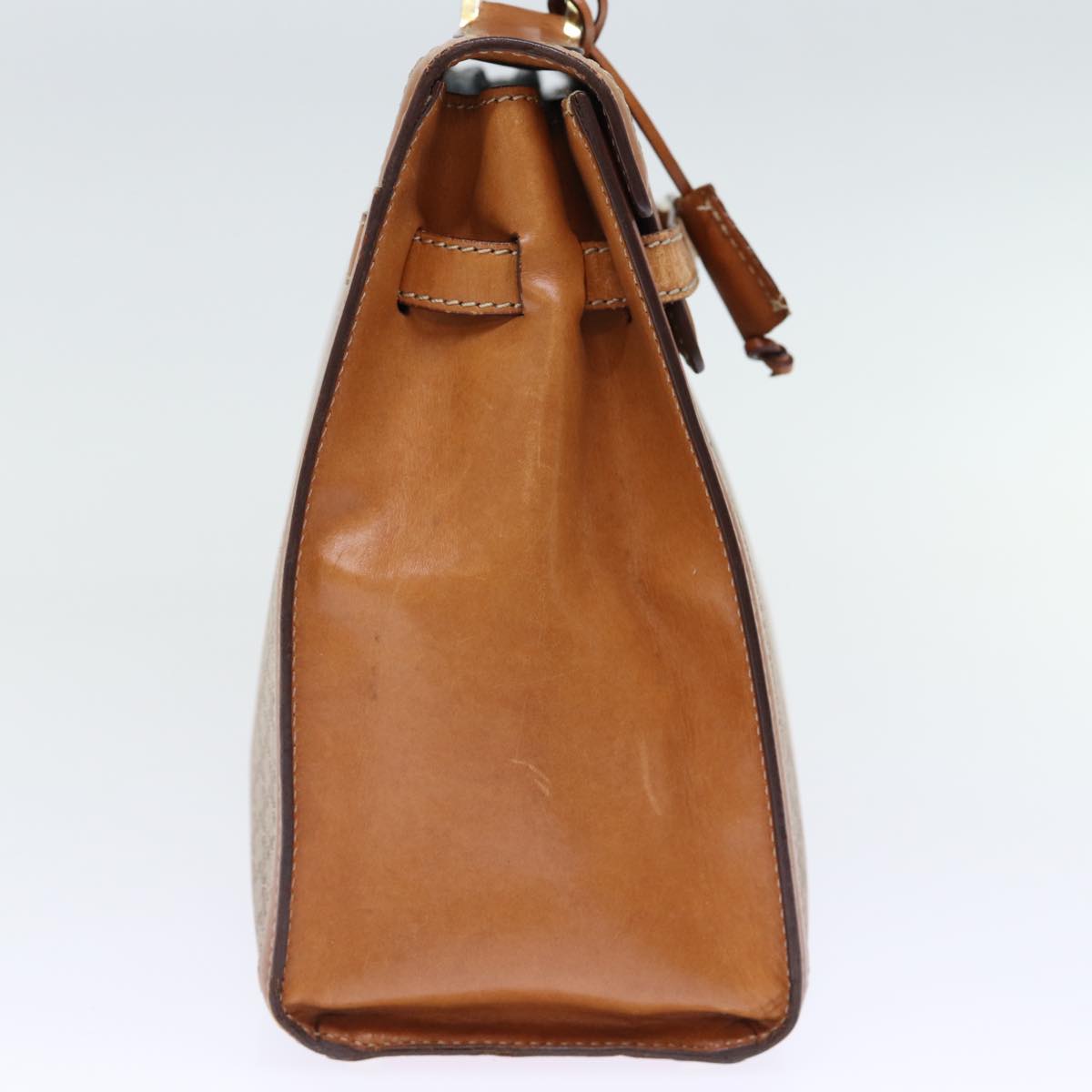 Luxury CELINE Macadam Canvas Hand Bag Beige 73341