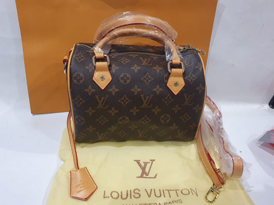 Louis Vuitton Handbag