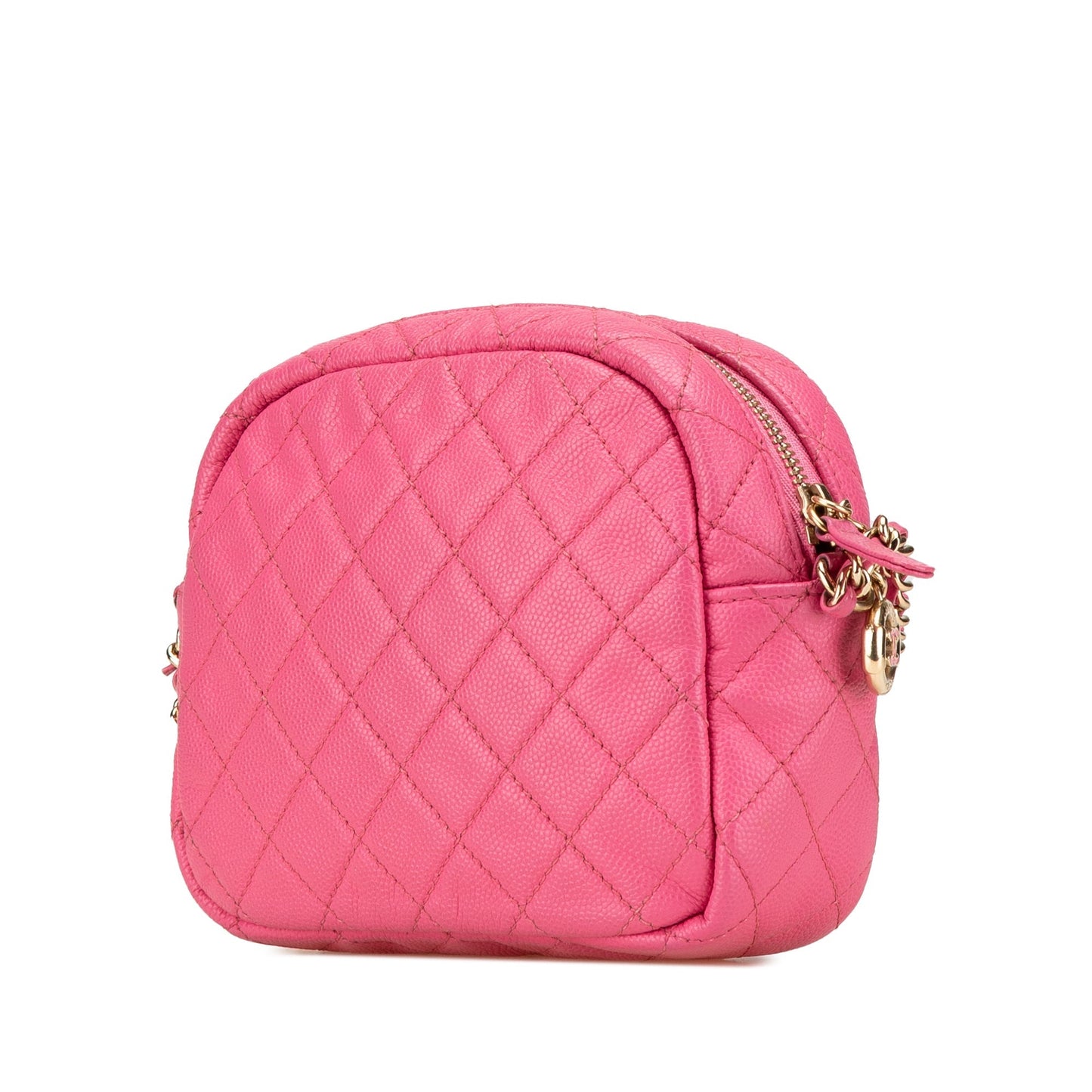 Chanel Camera Bag Crossbody Bag - Lynora Bags