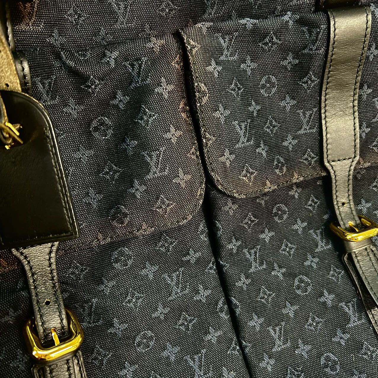 LOUIS VUITTONClaudine Monogram