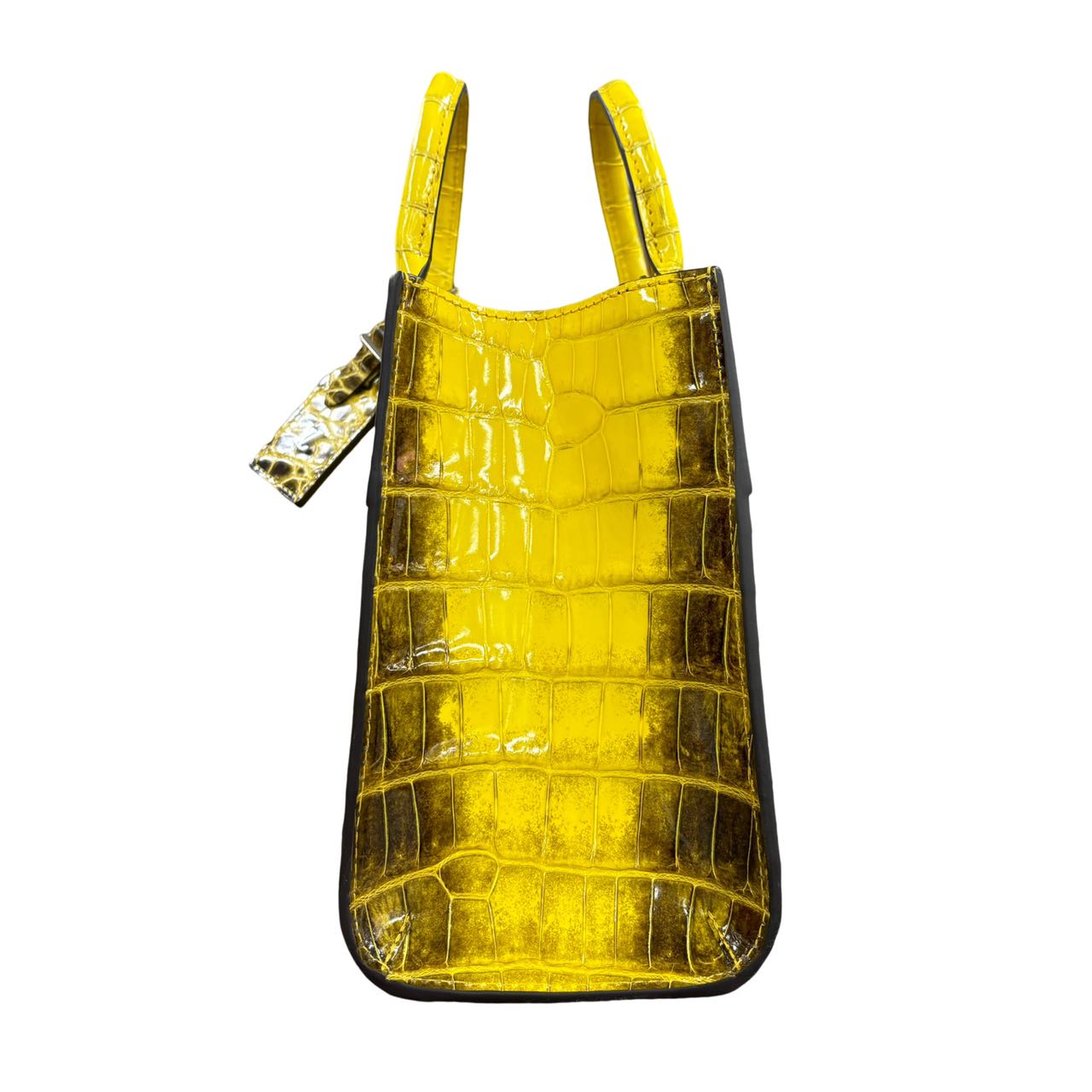 LOUIS VUITTON  Crocodile City Steamer PM