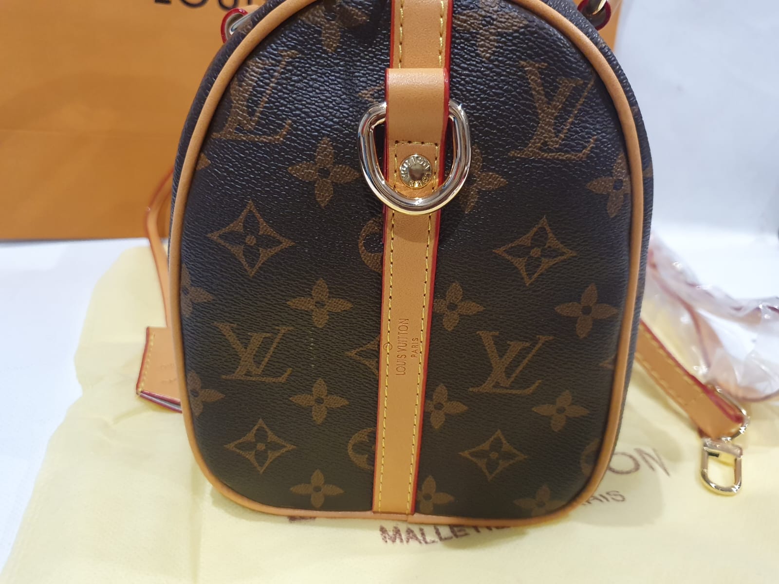 Louis Vuitton Handbag