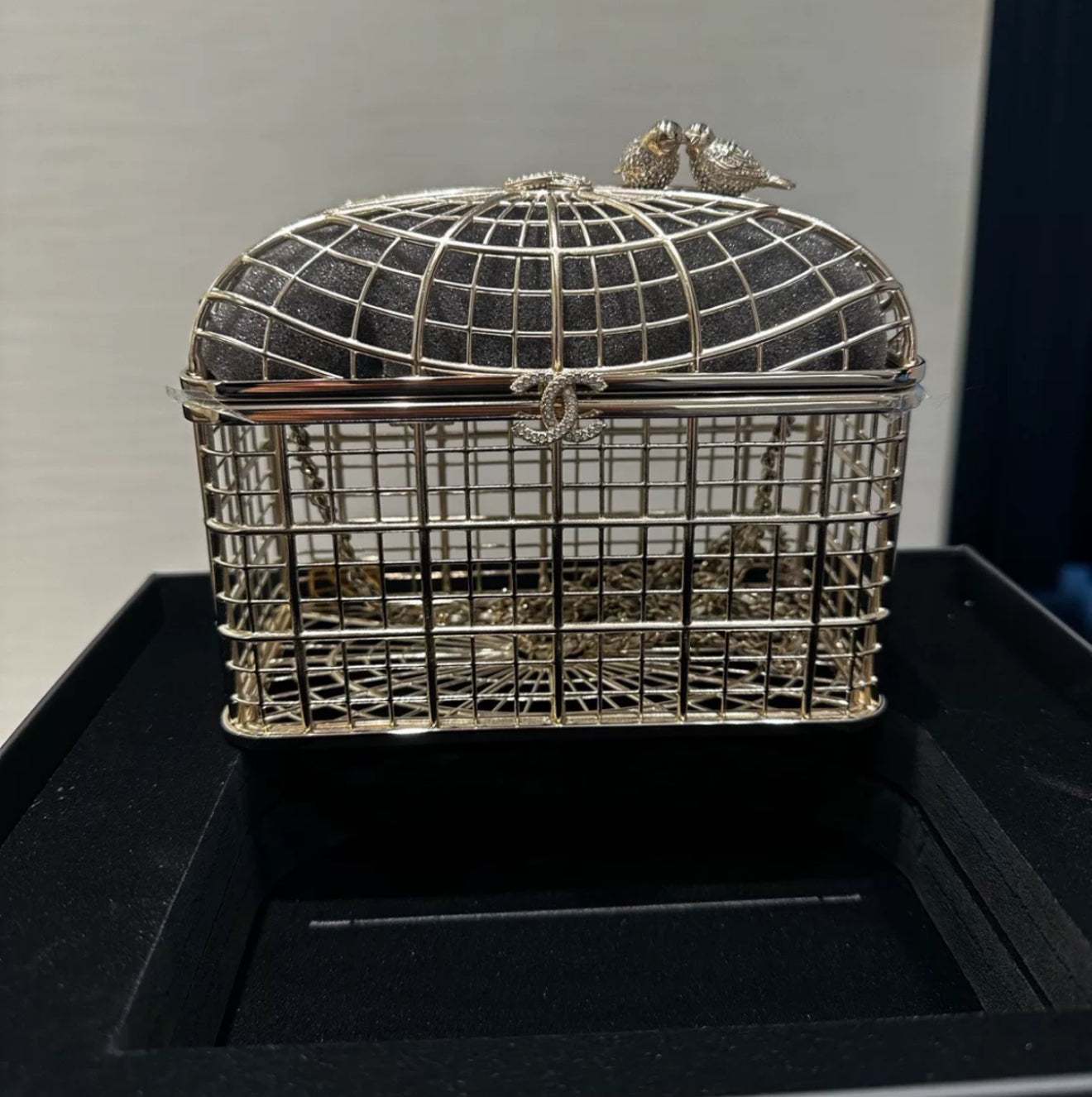 Chanel 25S Birdcage Evening Bag