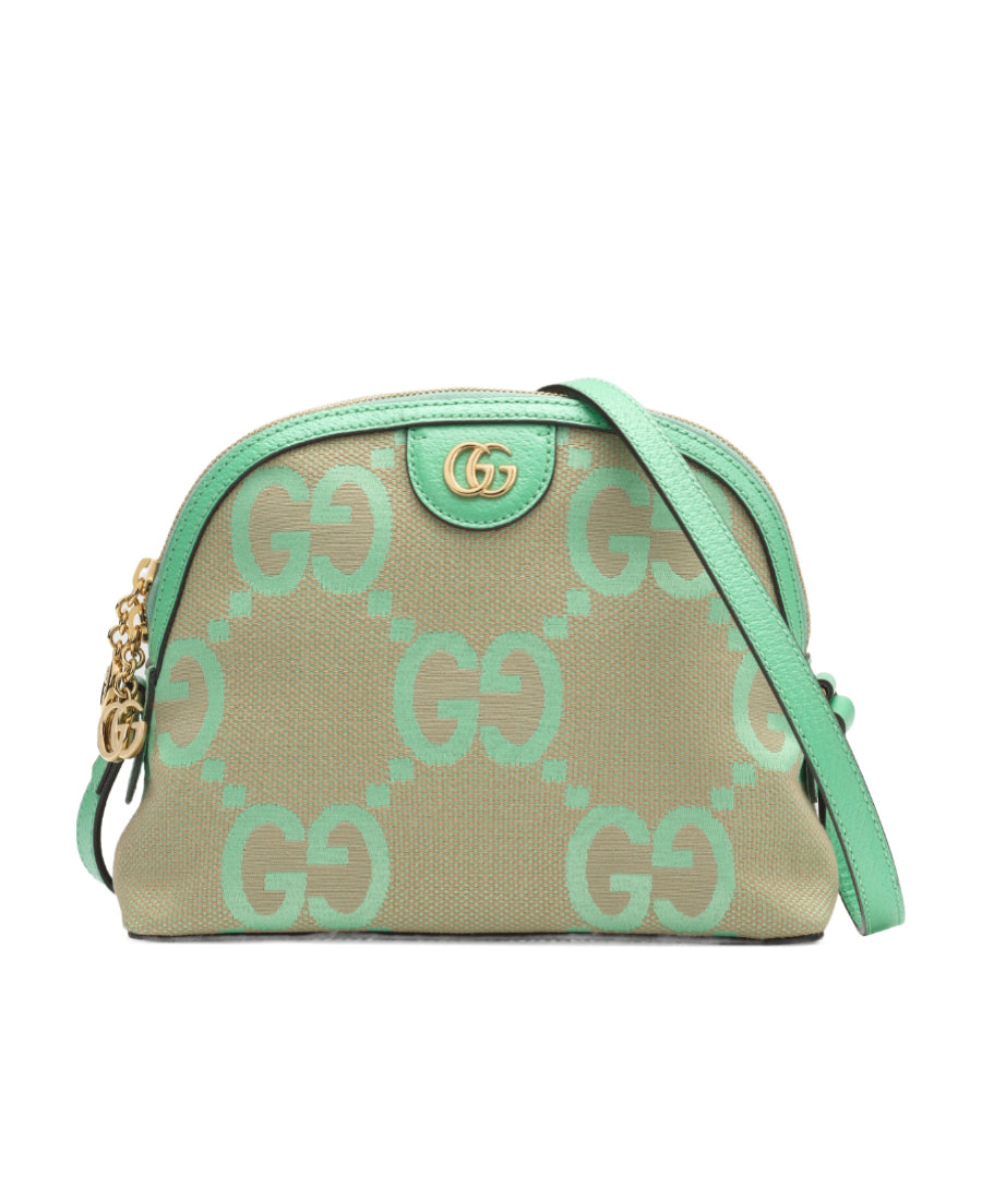 Gucci Crossbody Style 167