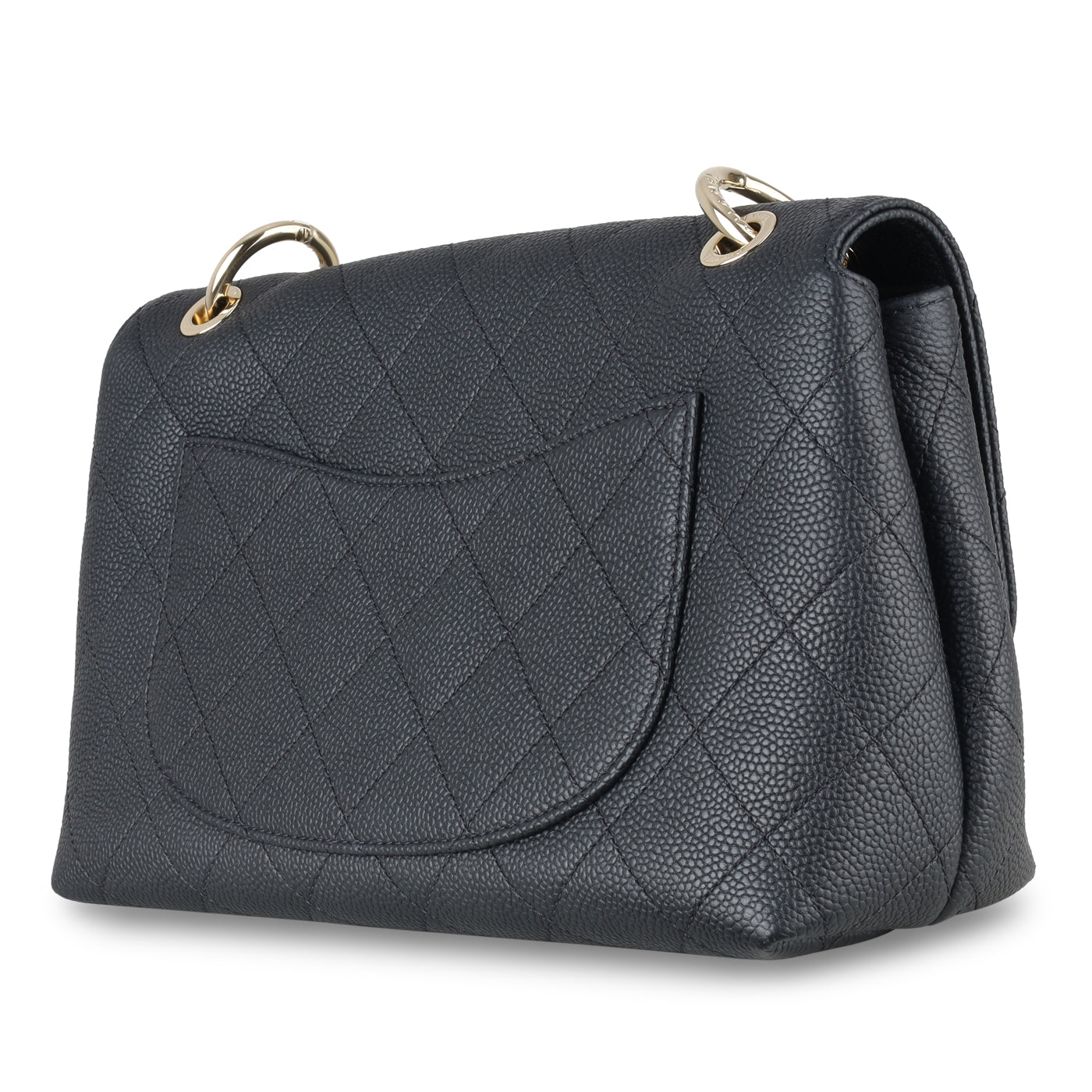 Chanel Chanel Seasonal Flap Bag