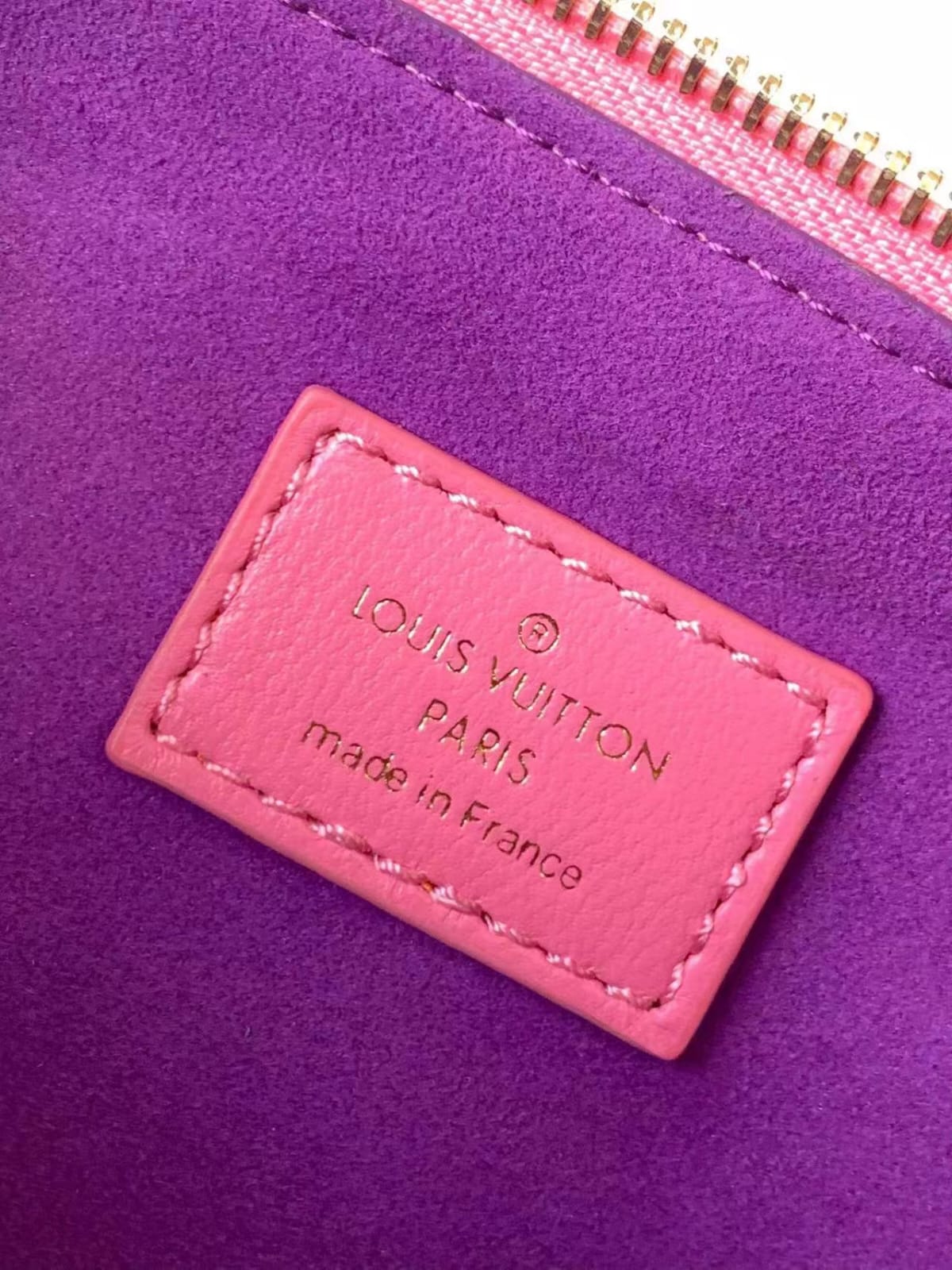 Louis Vuitton Coussin leather Handbag lushentic version