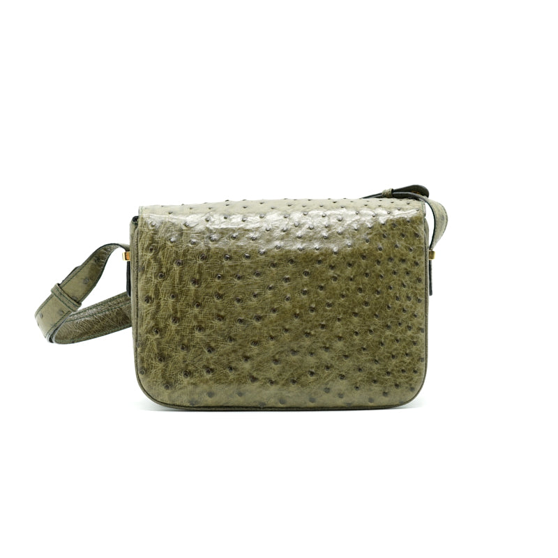 Luxury CELINE Ostrich Triomphe Bag