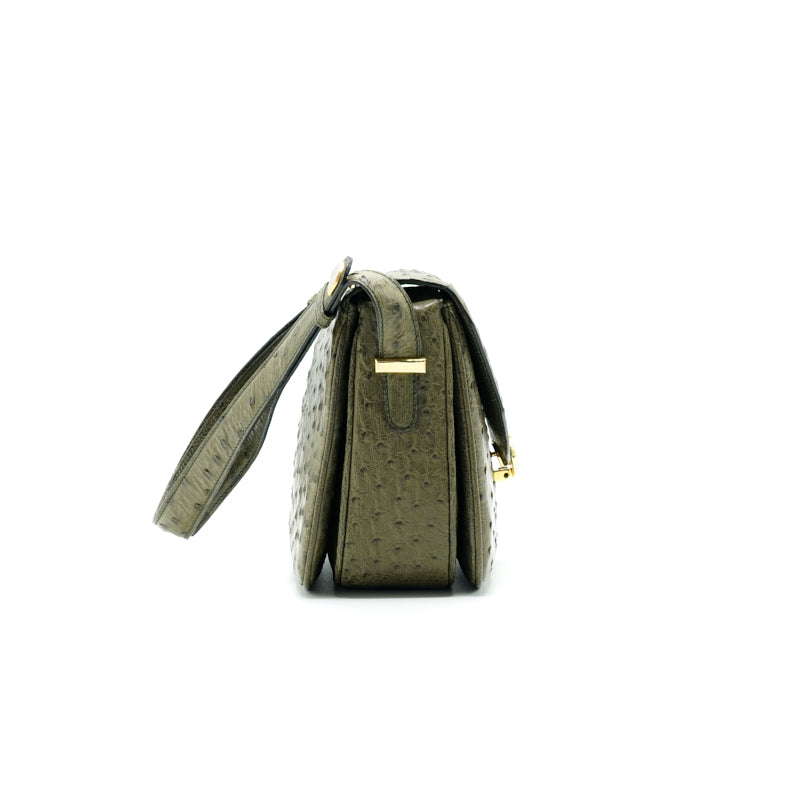 Luxury CELINE Ostrich Triomphe Bag