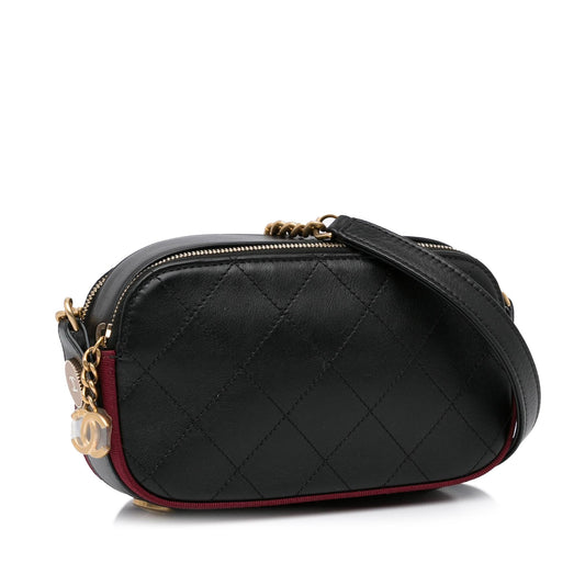 Chanel Button Up Double Zip Camera Bag SHG 9ts5t9