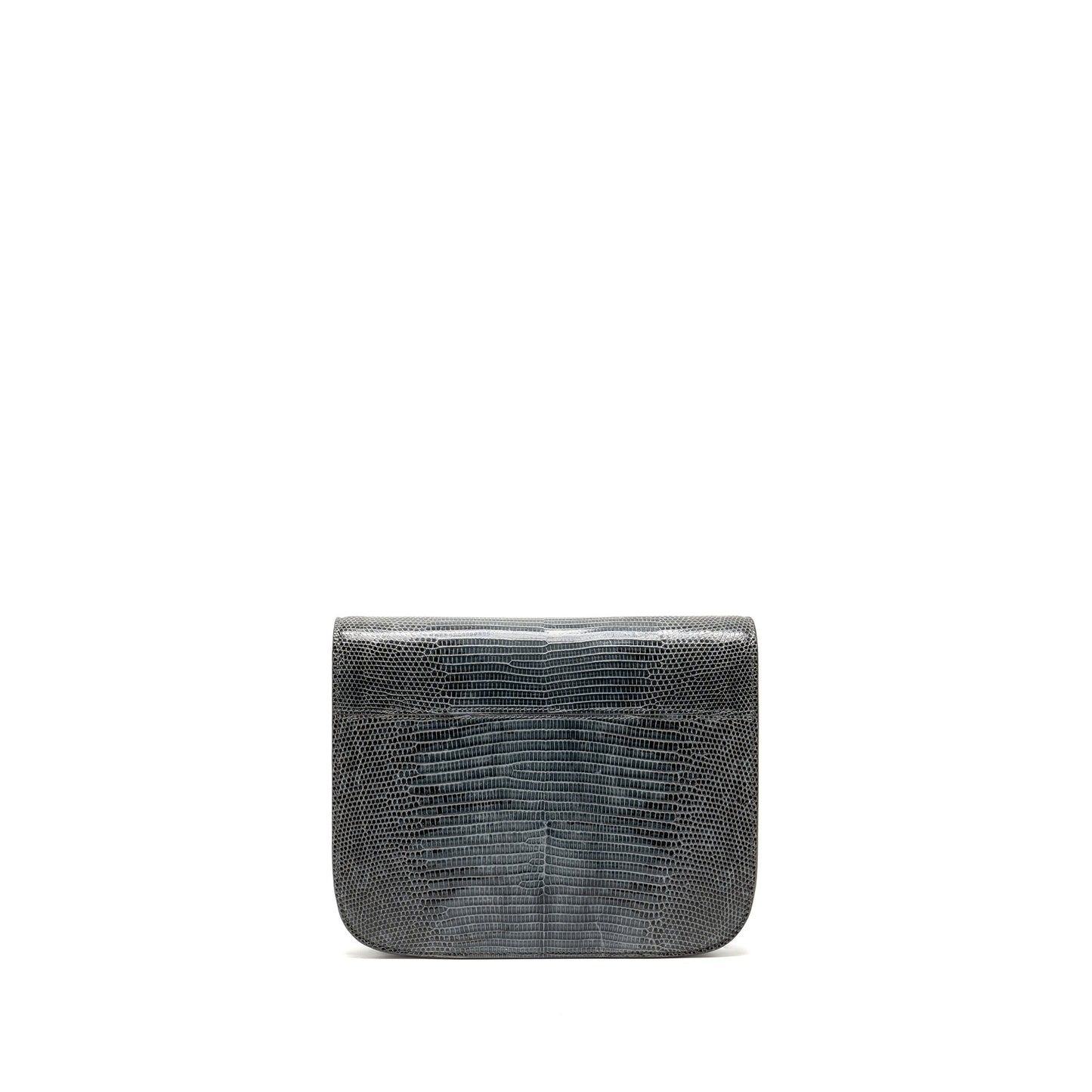Luxury CELINE Medium Box Bag Lizard Grey GHW