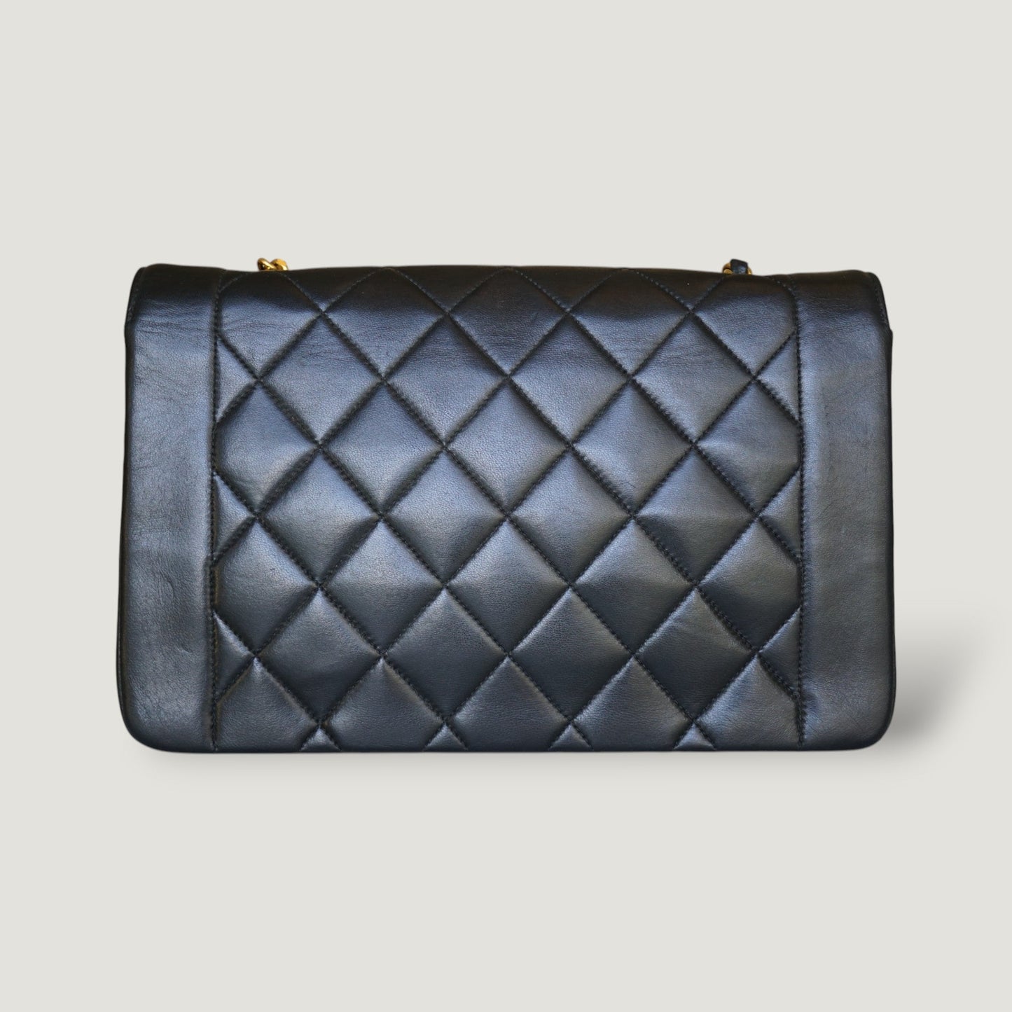 Chanel Diana Handbag Bag - Lynora Bags