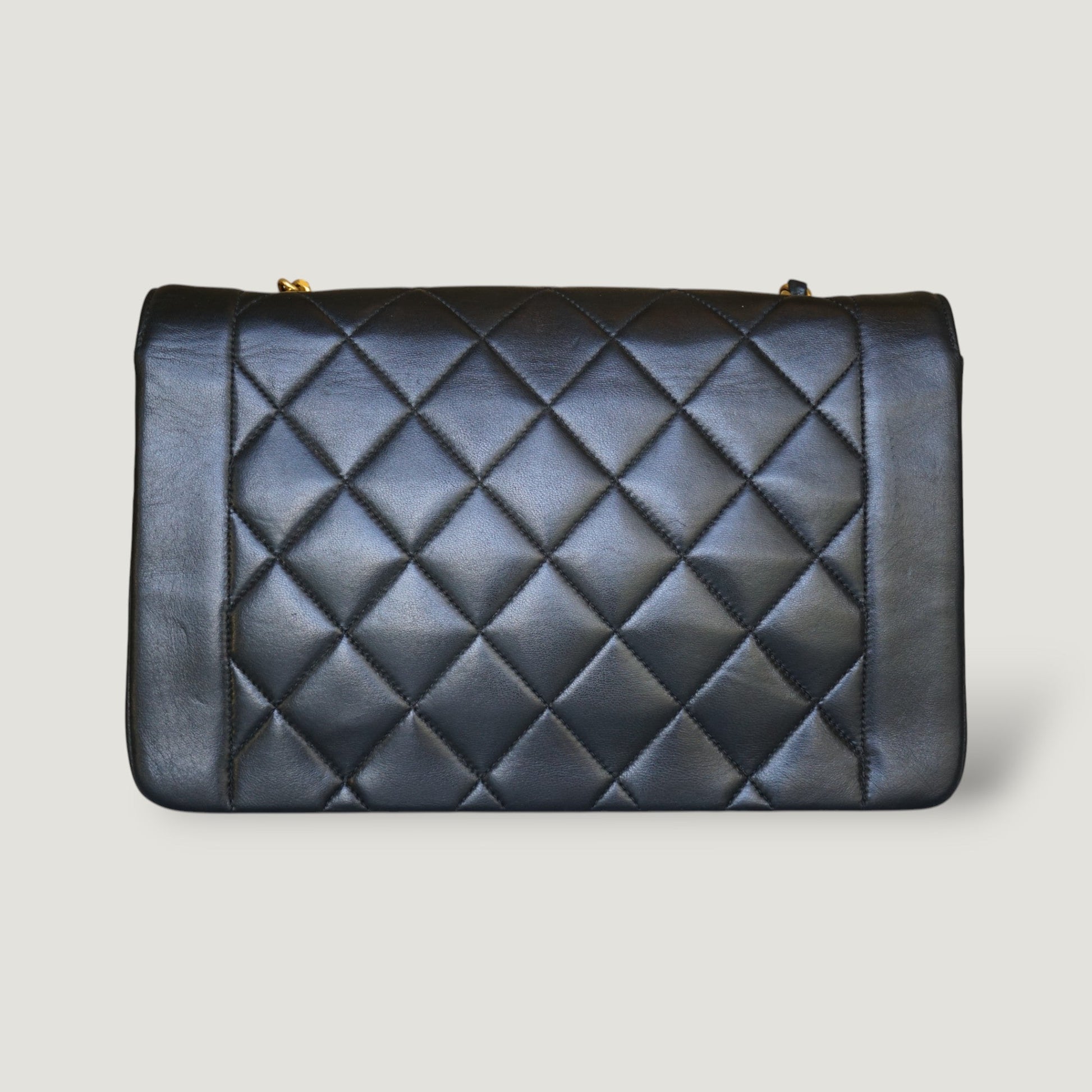 Chanel Diana Handbag Bag - Lynora Bags