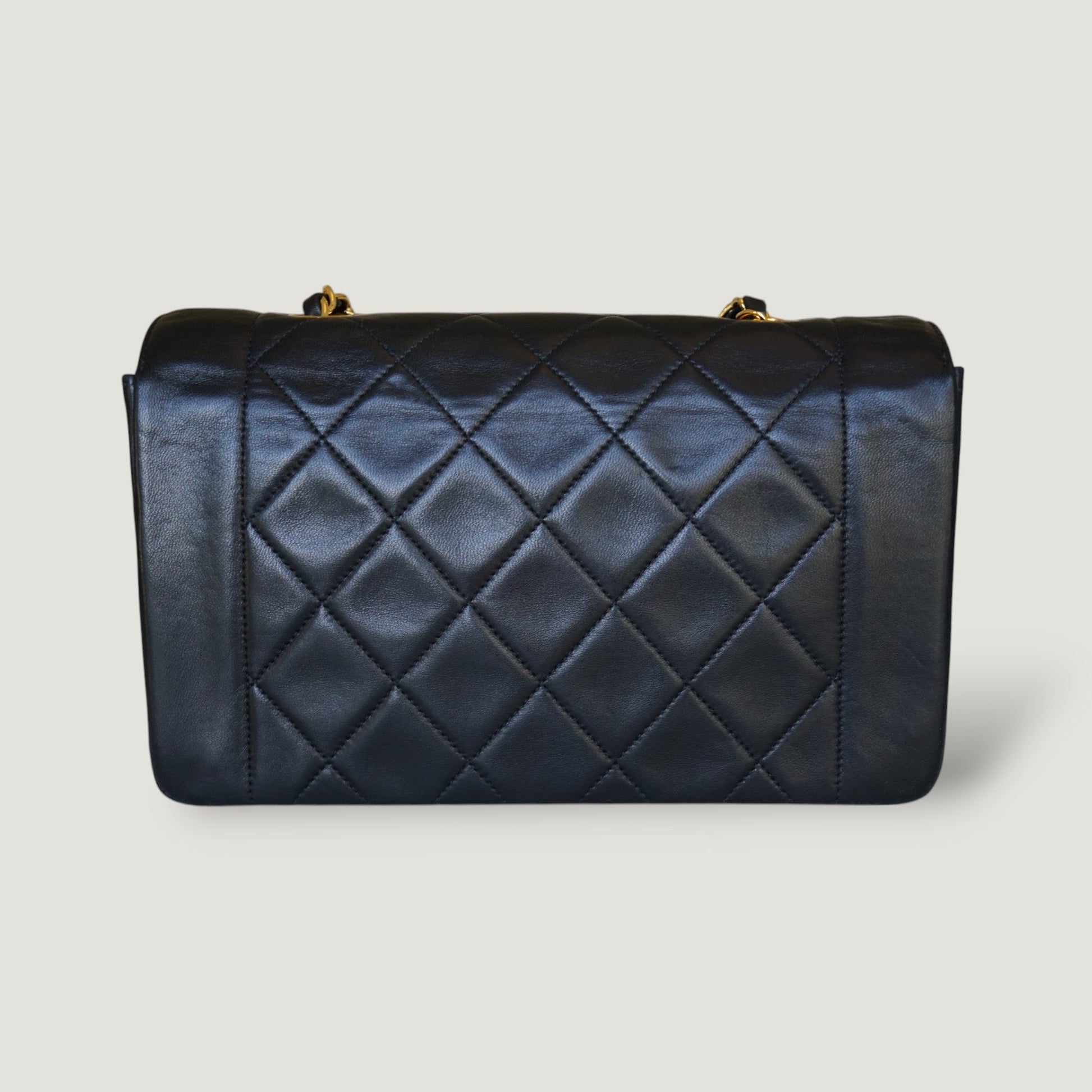 Chanel Diana Handbag Bag - Lynora Bags
