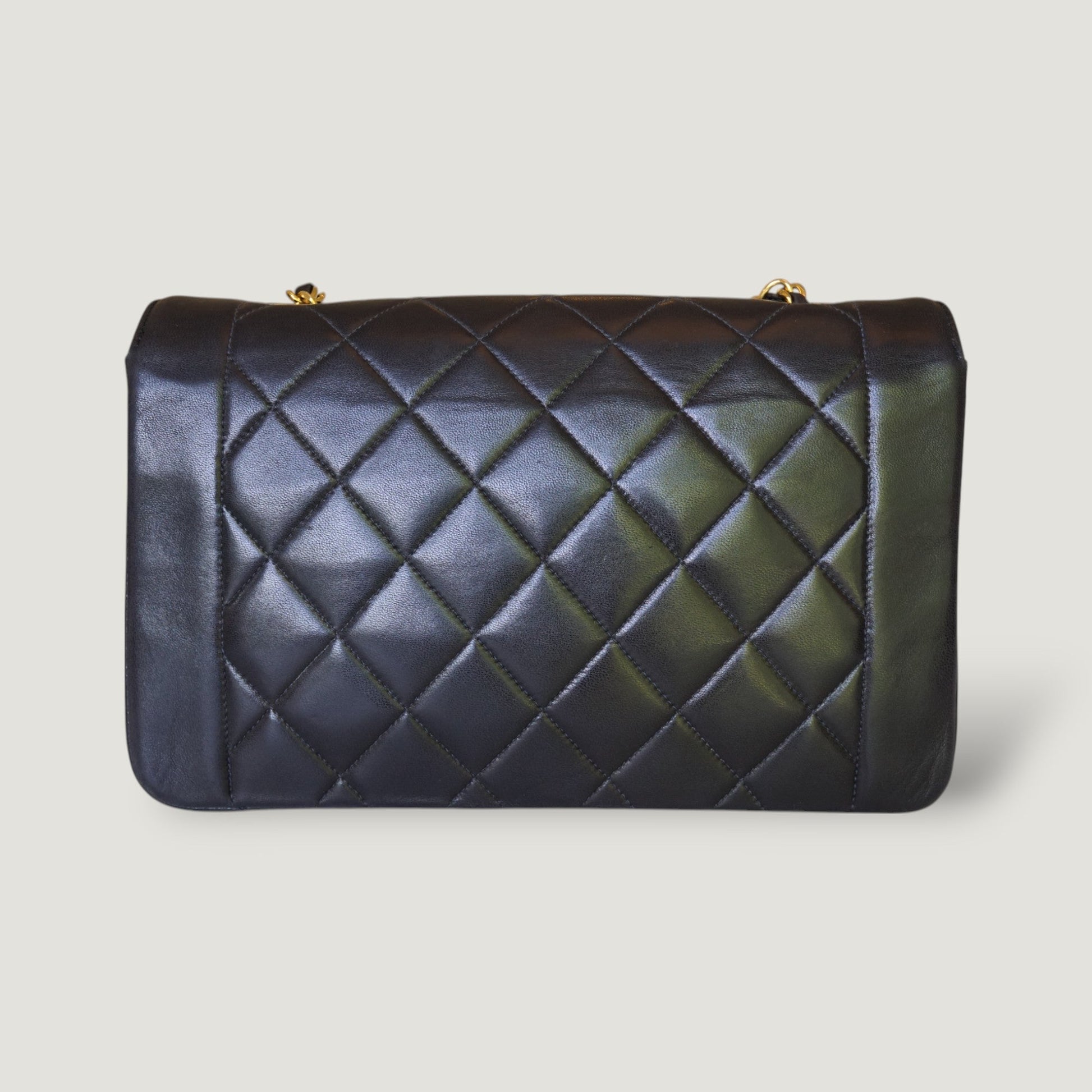 Chanel Diana Handbag Bag - Lynora Bags