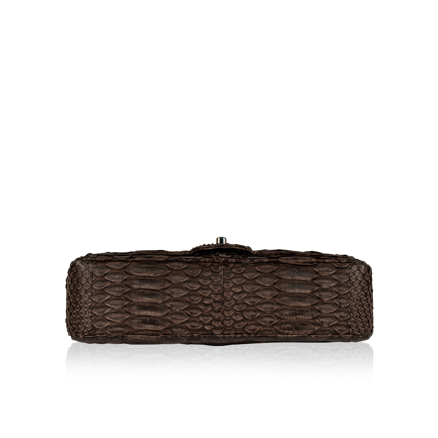 Chanel Classic Flap Bag - Python