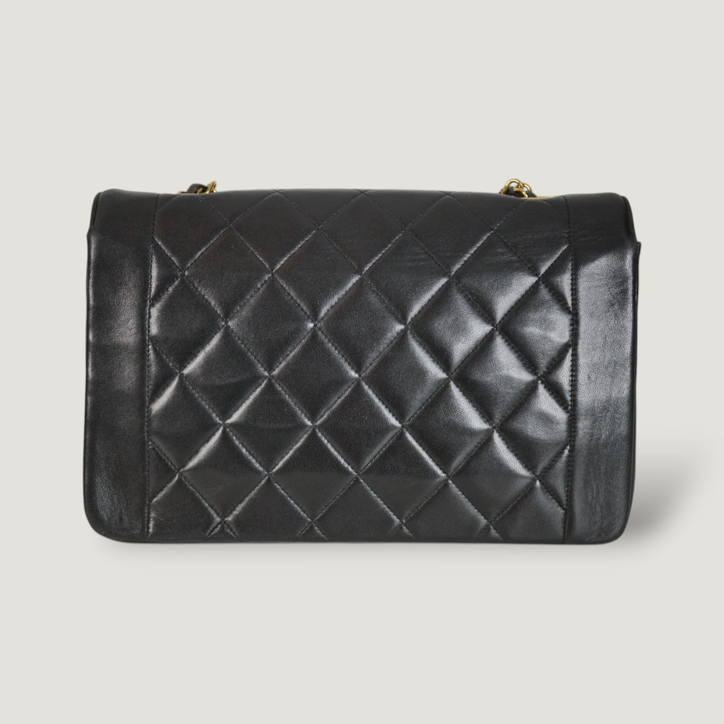 Chanel Diana Handbag Bag - Lynora Bags