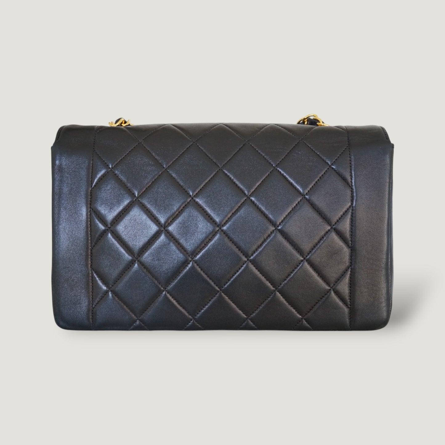 Chanel Diana Handbag Bag - Lynora Bags