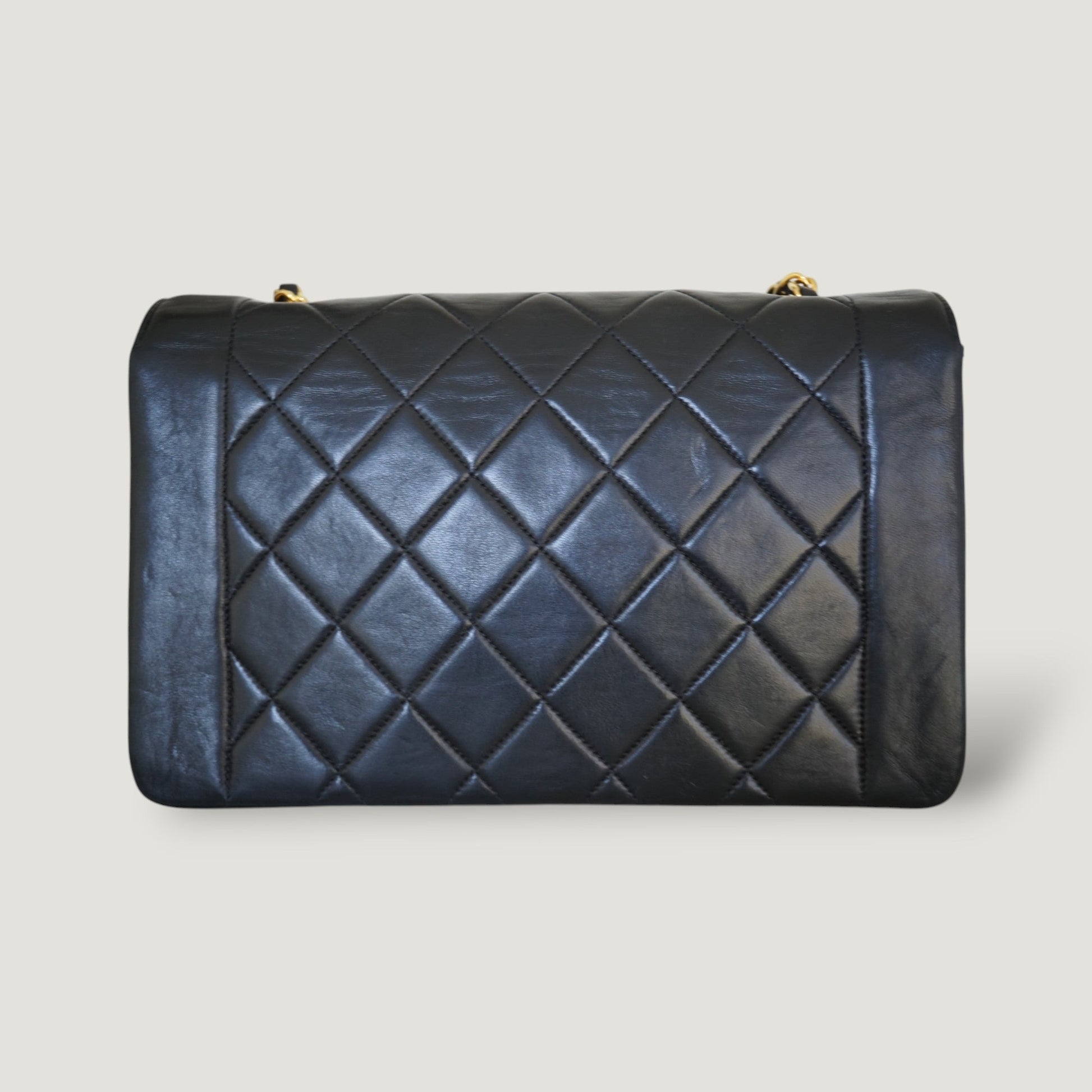Chanel Diana Handbag Bag - Lynora Bags