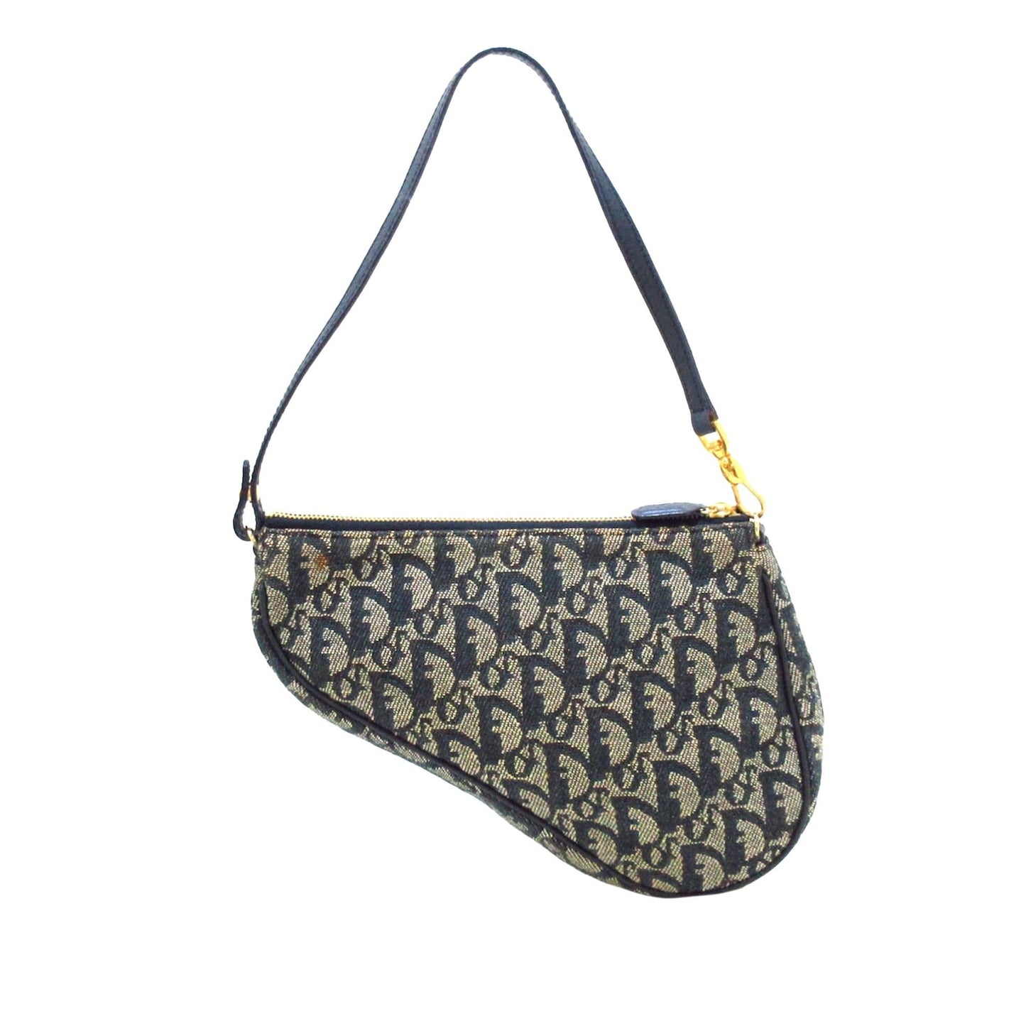 Dior Oblique Canvas Saddle (SHG-cho5JB)