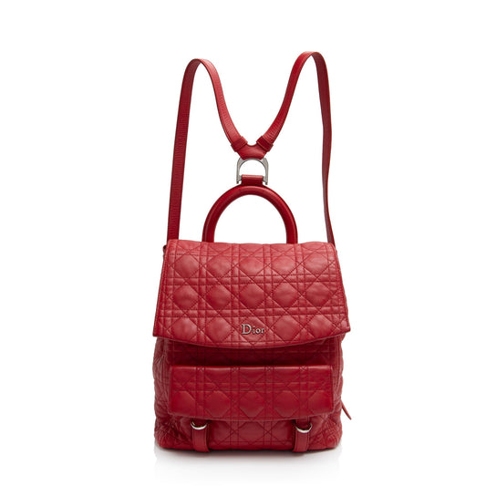 Dior Lambskin Stardust Large Backpack -   (SHF-NgNkzh)