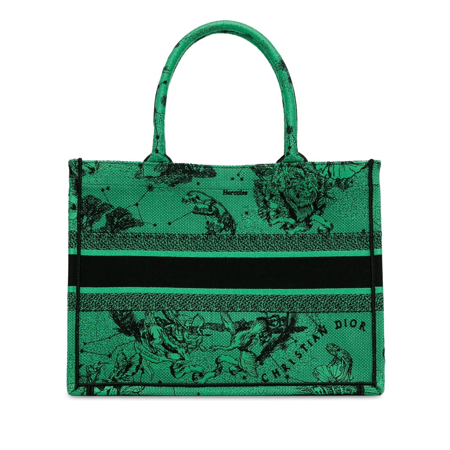 Dior Medium Embroidered Canvas Book Tote