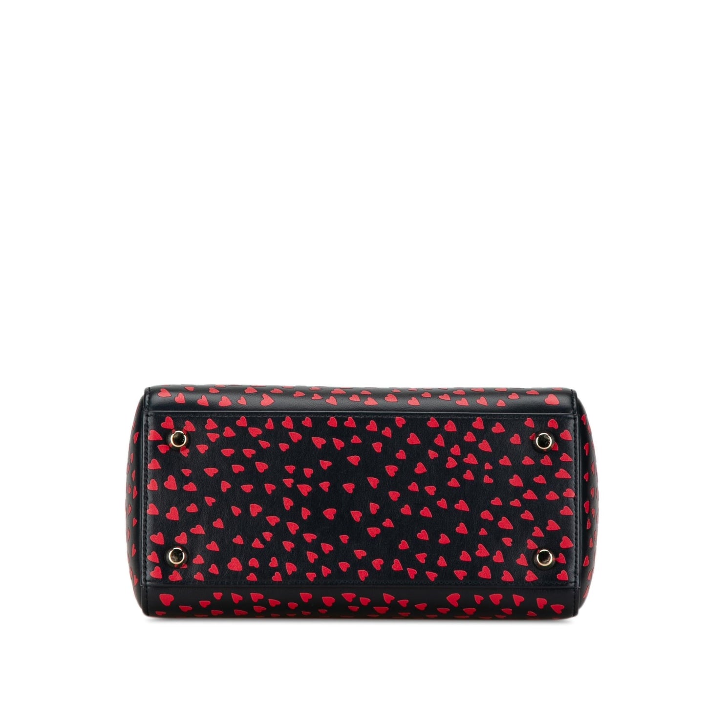 Dior Medium I Love Paris Lady Dior Satchel