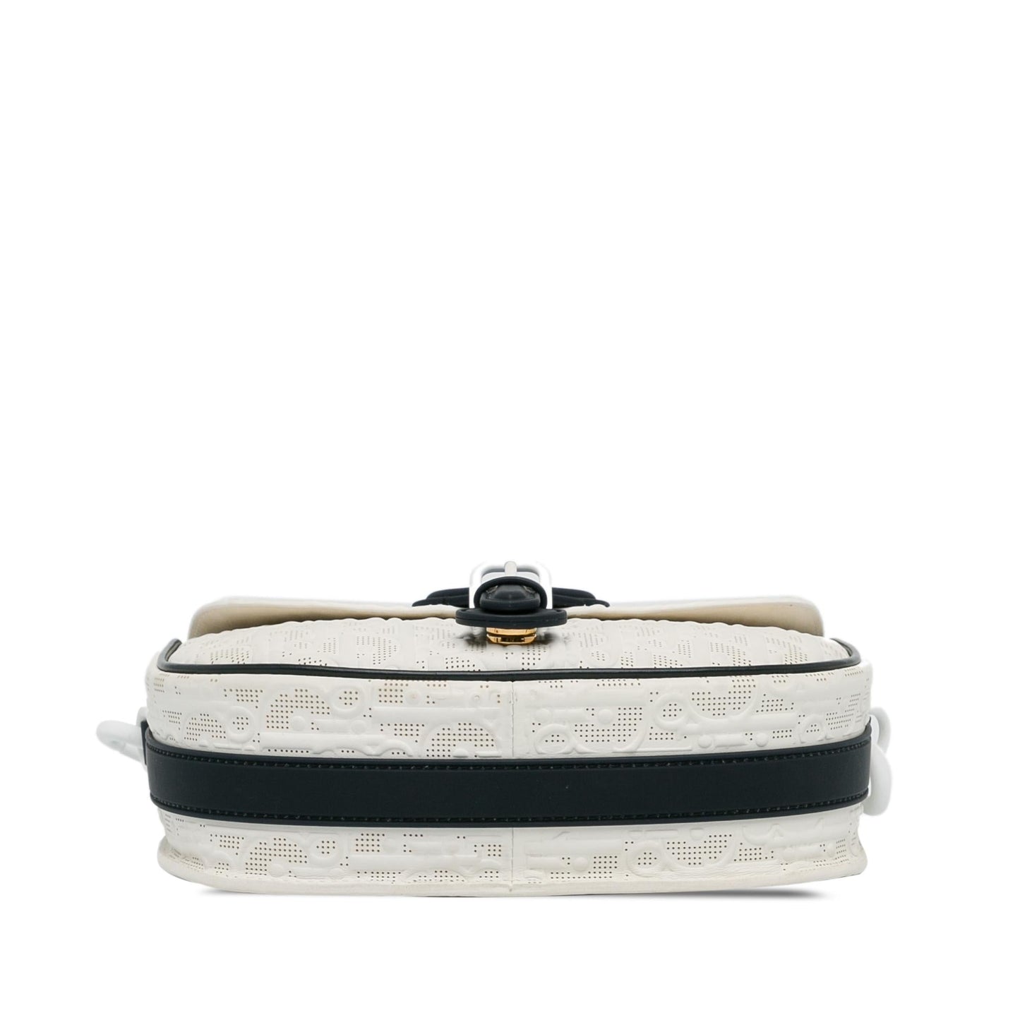 Dior Medium Perforated Calfskin Oblique Bobby Flap