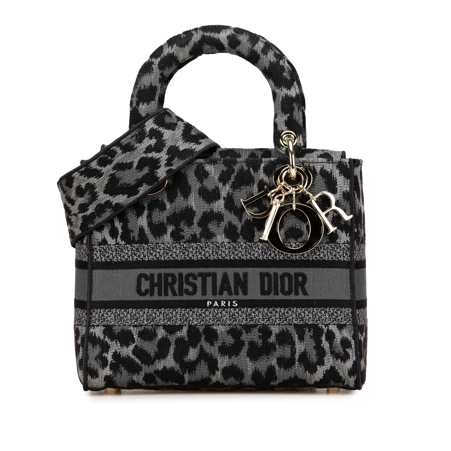 Dior Mizza Medium Embroidered Canvas Leopard Lady D Lite