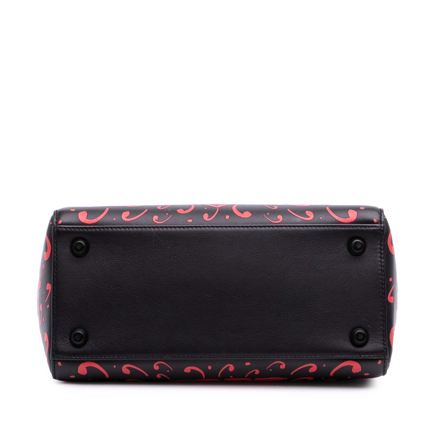 Dior Small Smooth Calfskin Painted Heart Clover Lady Dior