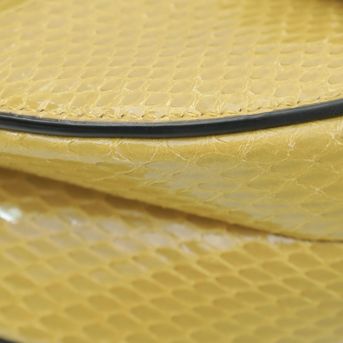 Christian Dior Dark Mustard Python Saddle Mini Bag