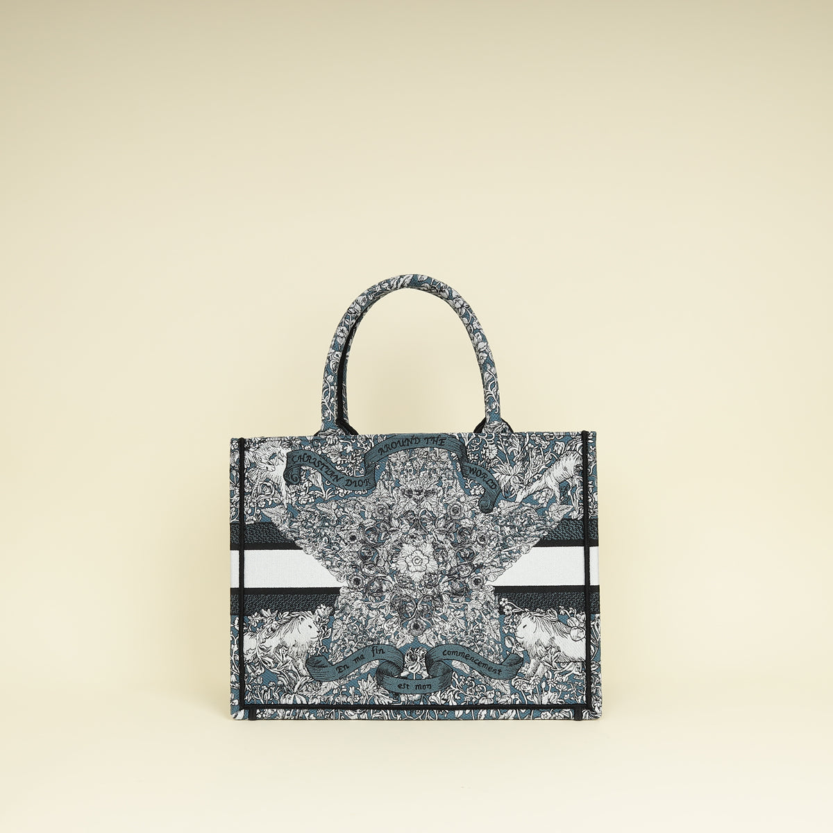 Christian Dior Tricolor "Around the World" Embroidered Book Medium Tote Bag