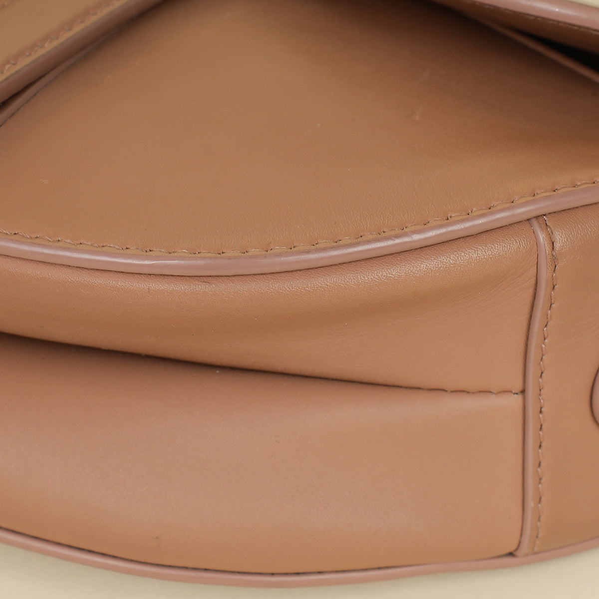Christian Dior Rose Des Vents Ultramatte Saddle Medium Bag