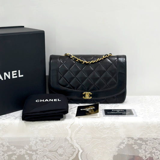 Chanel Diana Handbag Bag - Lynora Bags