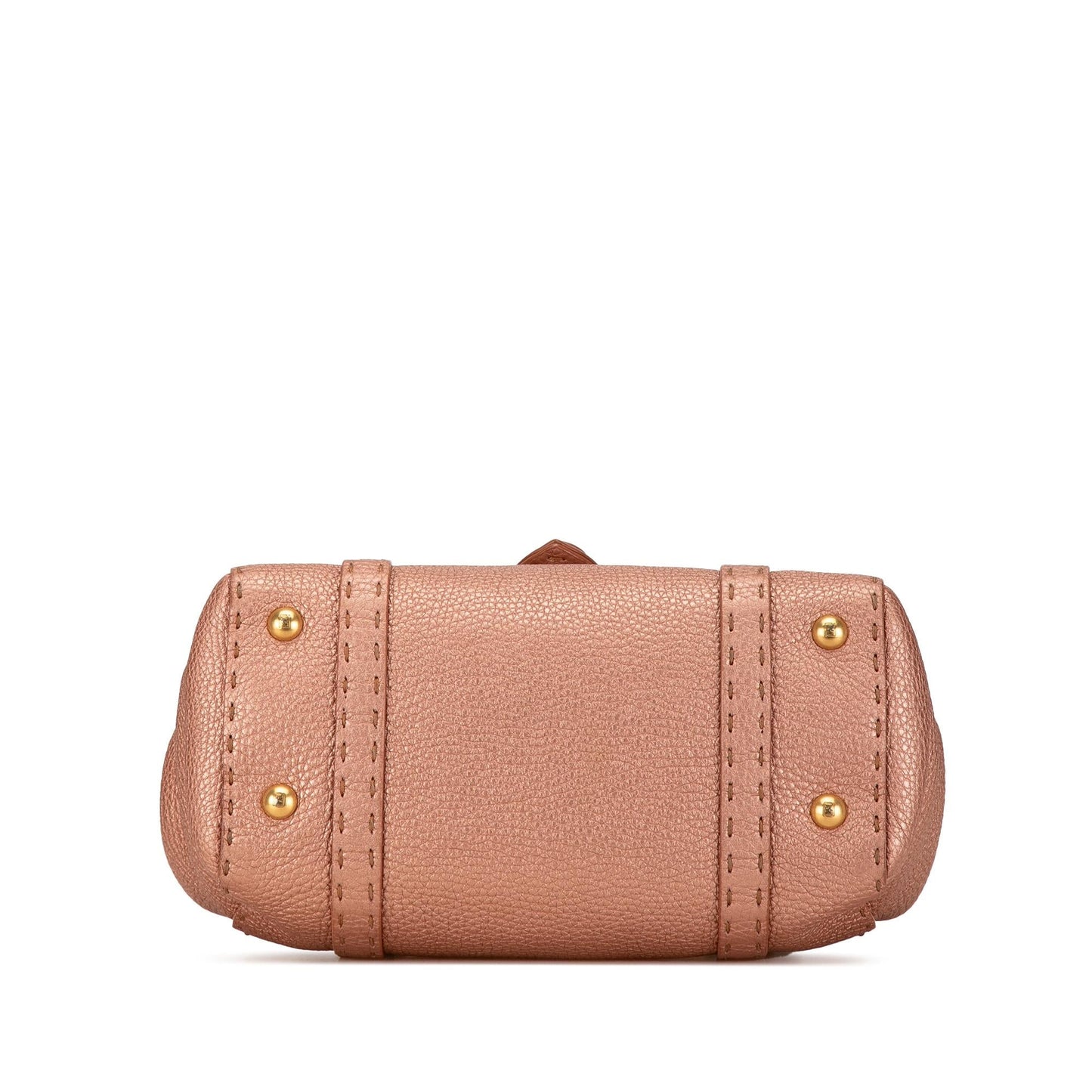 Fendi Mini Leather Selleria Linda (ermLPN)