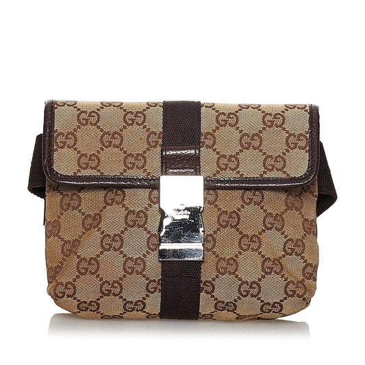Gucci Canvas Handbag Style 5