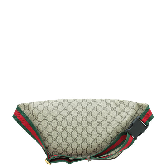 Gucci Canvas Shoulder Bag