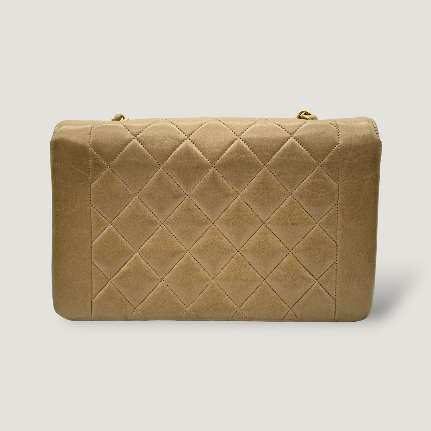 Chanel Diana Handbag Bag - Lynora Bags