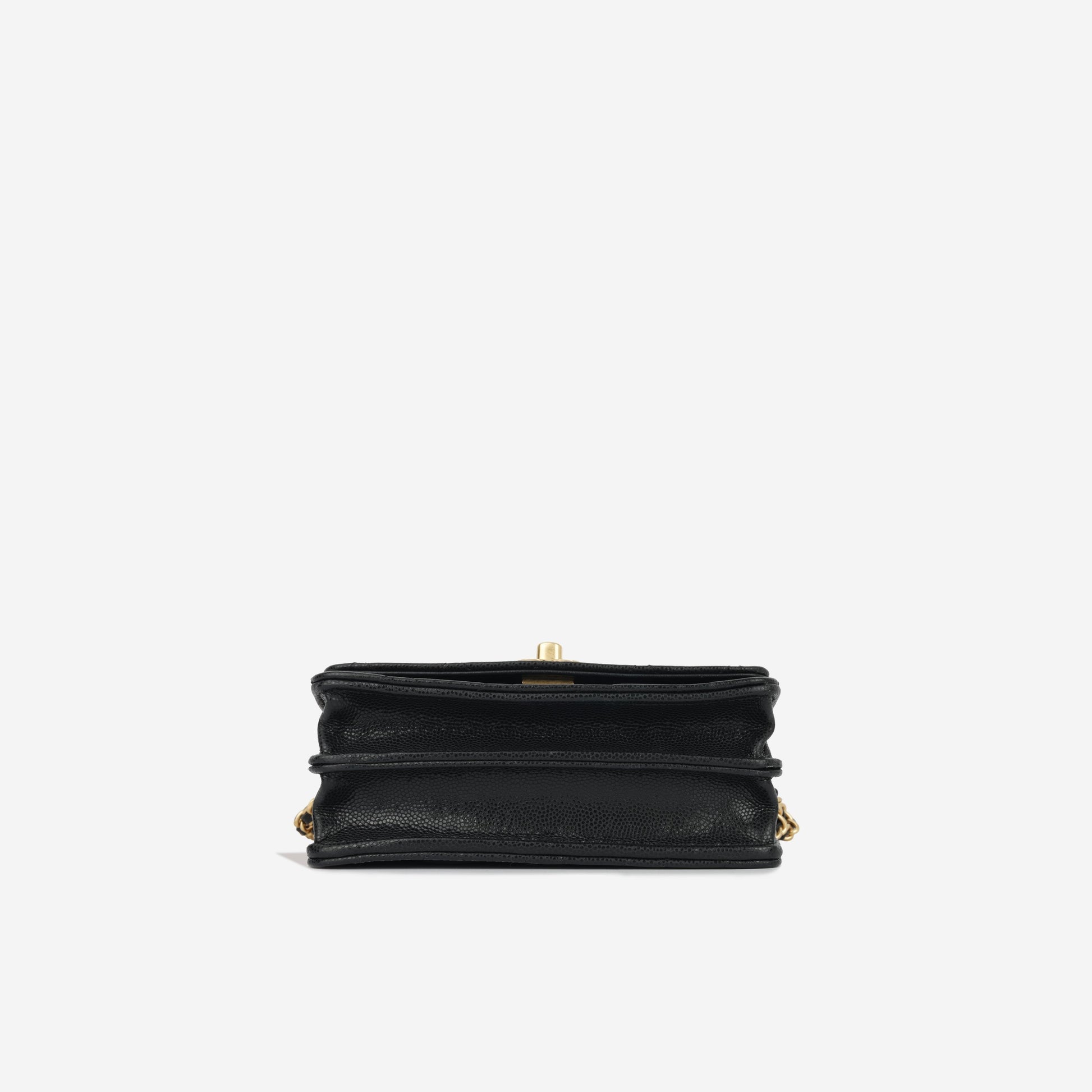 Chanel Small Clutch on Chain