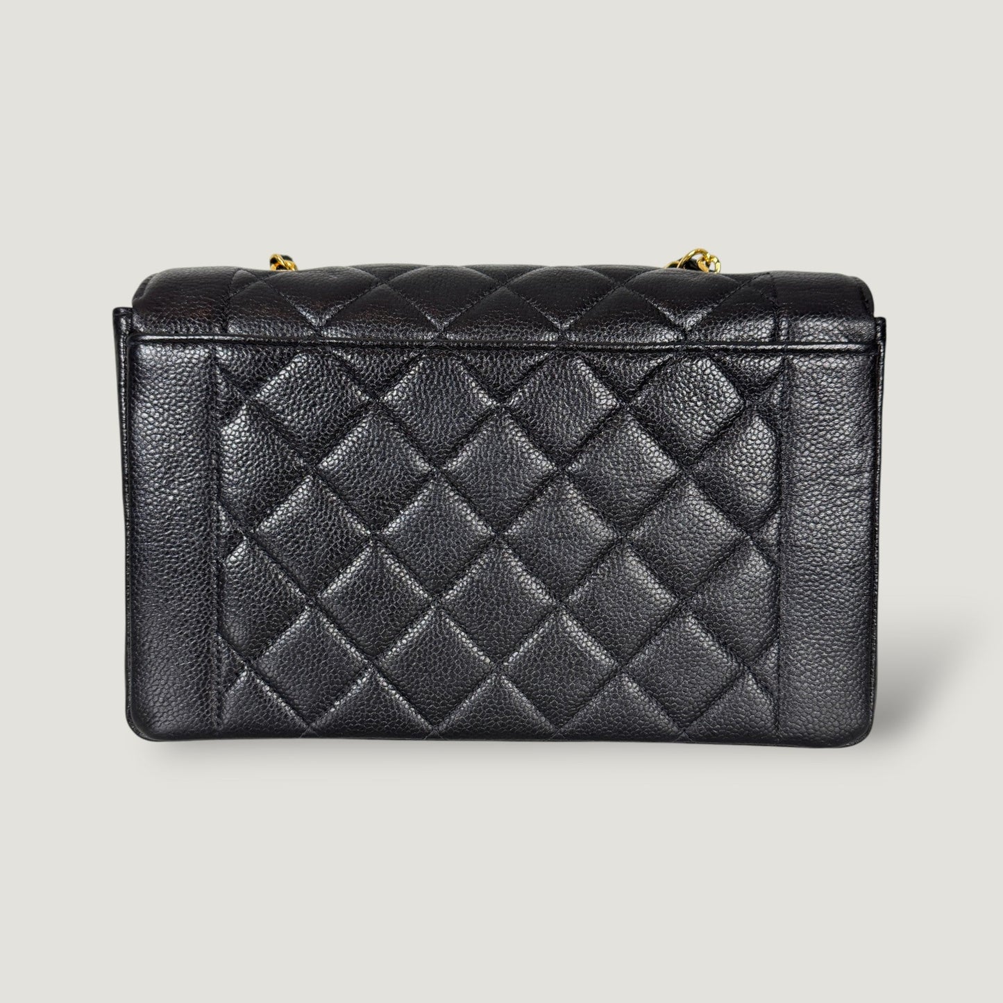 Chanel Diana Handbag Bag - Lynora Bags